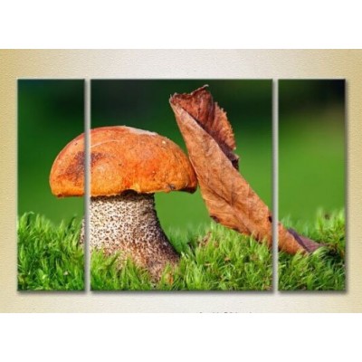 Картина Gallerix Triptych Mushroom and Leaf 01 (2699521)