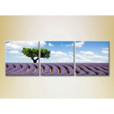 Картина Gallerix Triptych Tree in a lavender field (2181113)