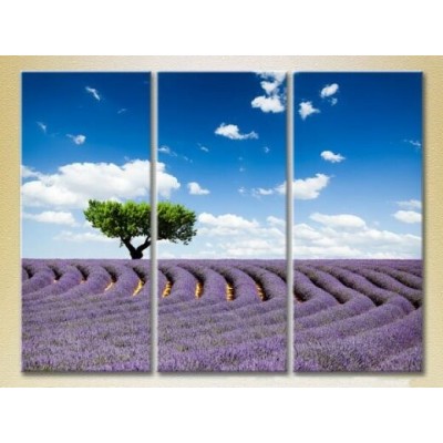 Картина Gallerix Triptych Tree in a lavender field 02 (2181110)