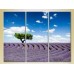 Картина Gallerix Triptych Tree in a lavender field 02 (2181110)