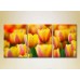 Картина Gallerix Triptych Yellow red tulips (2699523)