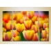 Pictură Gallerix Triptych Yellow red tulips 01 (2699520)