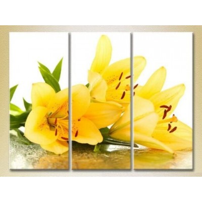 Pictură Gallerix Triptych Yellow Lilies (2699509)