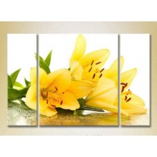 Pictură Gallerix Triptych Yellow Lilies 01 (2699518)