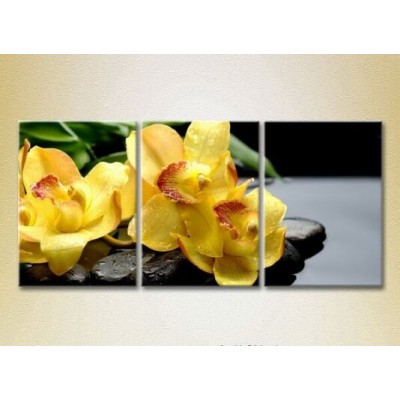 Pictură Gallerix Triptych Yellow orchids on stones (2699517)