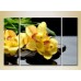 Pictură Gallerix Triptych Yellow Orchids on stones 01 (2699516)