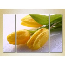 Pictură Gallerix Triptych Yellow Tulips (2699557)