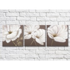 Pictură Gallerix Triptych of white flowers on a brown background (500687)