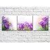 Pictură Gallerix Triptych of Spring Primroses (500691)