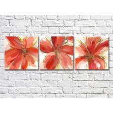 Pictură Gallerix Triptych of large red flowers drawing (500701)