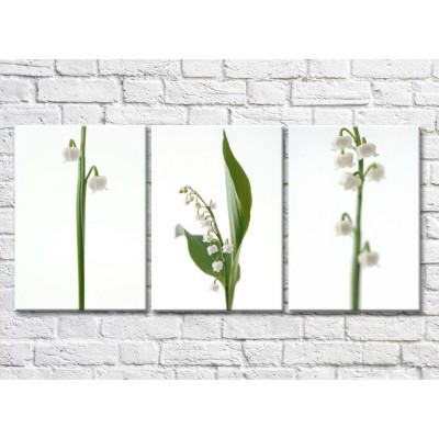 Pictură Gallerix Triptych of lilies of the valley (500702)