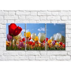 Pictură Gallerix Triptych of colorful tulips (500706)