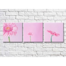 Картина Gallerix Triptych of pink gerberas on a pink background (500708)