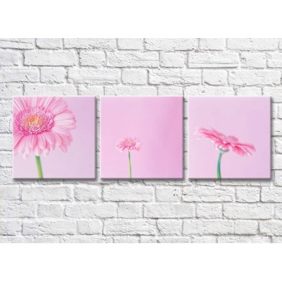 Картина Gallerix Triptych of pink gerberas on a pink background (500708)