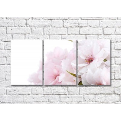 Картина Gallerix Triptych of pink flowers (500710)