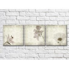 Картина Gallerix Triptych of light flowers on a gray background (500713)