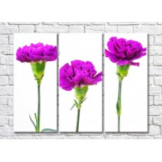 Картина Gallerix Triptych of purple carnations (500714)