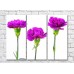 Картина Gallerix Triptych of purple carnations (500714)