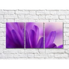 Картина Gallerix Triptych of purple petals (500715)