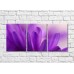 Картина Gallerix Triptych of purple petals (500715)