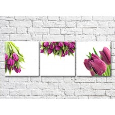 Картина Gallerix Triptych of purple tulips (500716)