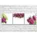 Картина Gallerix Triptych of purple tulips (500716)