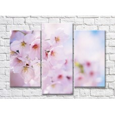 Картина Gallerix Triptych of fruit flowers (500717)