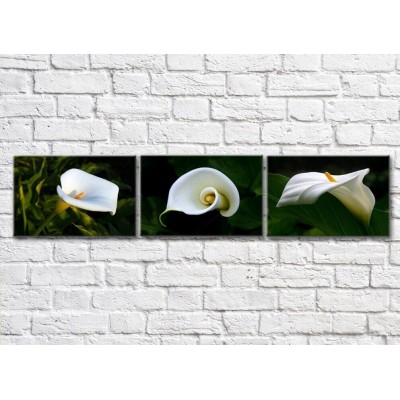 Pictură Gallerix Triptych of white calla flowers (500718)