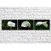 Pictură Gallerix Triptych of white calla flowers (500718)