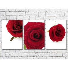 Картина Gallerix Triptych of flowers of red roses (500720)