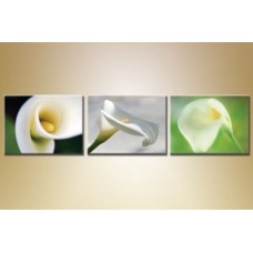 Картина Gallerix Triptych Calla lilies (1409857)