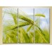 Pictură Gallerix Triptych Wheat Ears (2699511)