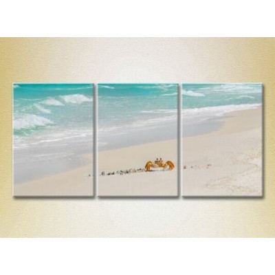 Pictură Gallerix Triptych Crab in the Sand 01 (2180947)