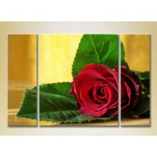 Pictură Gallerix Triptych Red Rose (2699499)