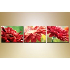 Pictură Gallerix Triptych red gerberas (1409853)