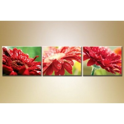 Pictură Gallerix Triptych red gerberas (1409853)