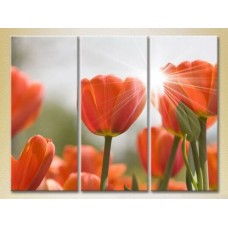 Pictură Gallerix Triptych Red Tulips 01 (2699508)