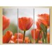 Pictură Gallerix Triptych Red Tulips 01 (2699508)