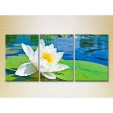 Pictură Gallerix Triptych Water Lily 02 (2699495)