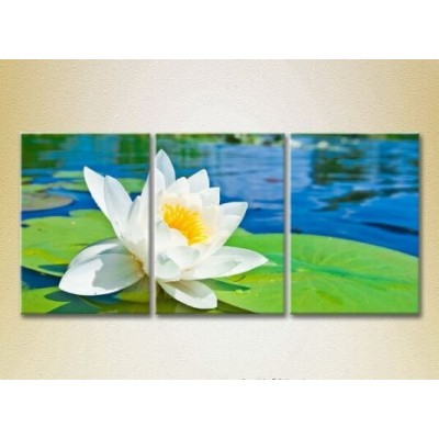 Pictură Gallerix Triptych Water Lily 02 (2699495)