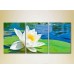 Pictură Gallerix Triptych Water Lily 02 (2699495)