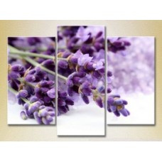 Pictură Gallerix Triptych Lavender (2699505)