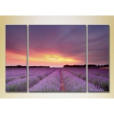 Pictură Gallerix Triptych Lavender Field 03 (2181136)