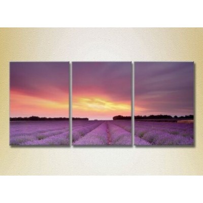 Pictură Gallerix Triptych Lavender Field 06 (2181139)