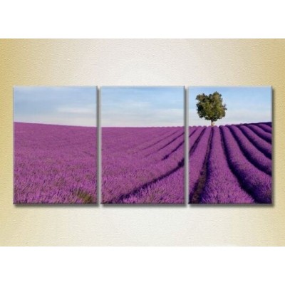 Pictură Gallerix Triptych Lavender Field 08 (2181142)