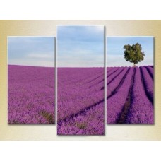 Pictură Gallerix Triptych Lavender field with tree 02 (2181115)