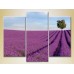 Pictură Gallerix Triptych Lavender field with tree 02 (2181115)