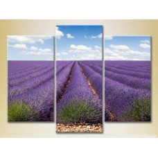 Pictură Gallerix Triptych Lavender field 01 (2181117)