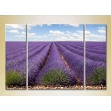 Pictură Gallerix Triptych Lavender Field 02 (2181118)