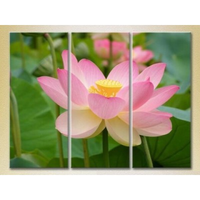 Pictură Gallerix Triptych Lotus pink 01 (2699501)